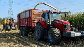 Kukurydza na Kiszonkę 2024 || 75ha w kawałku ツ CLAAS JAGUAR 960, MF 5X, JCB 2X, URSUS, JD