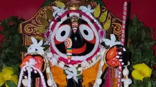 🧿 #Yesno/ Guidance free.#Detail paid.#free hindi/ English Physhic/ Intutive tarot card reading.