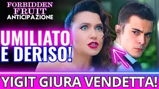 😱 UMILIATO E DERISO! Ender distrugge Yigit: INIZIA LA SUA VENDETTA | Forbidden Fruit