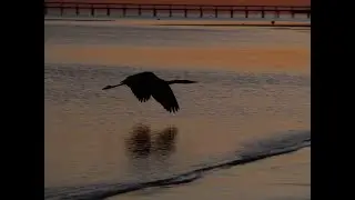 Tides on the Gulf of Mexico | Ochlockonee Bay Bridge | St. Theresa Beach, Panacea, Florida