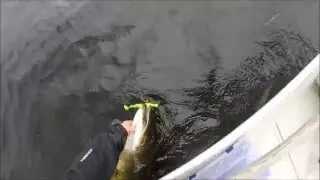 Gädda 9,3 kg tagen på mcrubber jr i Sundsvall