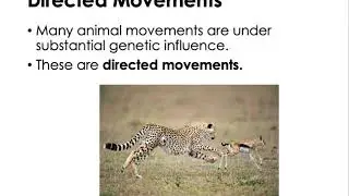 Behavioral Ecology Part 1