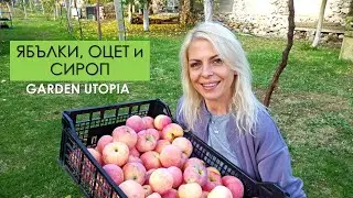Съхранение на ЯБЪЛКИ, ФЕРМЕНТАЦИЯ на оцет и СИРОП от бъзак: #Ден 52 от 90 ДНИ НА СЕЛО