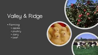 Virginia Studies: Physical Regions of VA