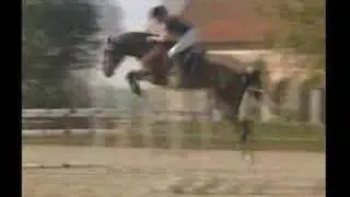 Horses - I Believe