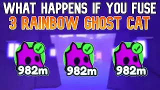 What Happens If You Fuse 3 Rainbow Ghost Cat