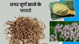 तगर चूरन है सेह़त के लिए बहुत फायदेमंद Tagar Powder Is Very Beneficial For Health