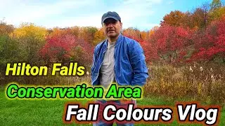 Hilton Falls, Conservation Area, Fall Colours 