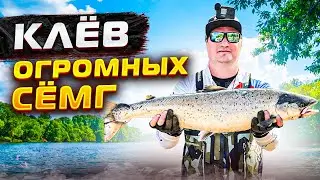 Рыбалка 2025. Сёмга. Клев огромных СЁМГ. Salmon fishing. Big salmon