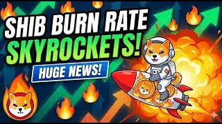 SHIBA INU BURN RATES ARE SKYROCKETING AGAIN!! OVER 1100%!! SHIB ATH SOON?! BUY SHIBA INU NOW?!