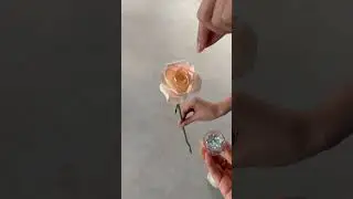 🌷✨✨#diyflowers  #flowerpower  #floweroftheday  #floraldesign  #diycrafts  #diycrafting  #diycraftid