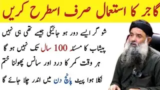 Motivational Islamic Quotes | Quotes About life | Golden Words | Rumi Quotes in Urdu | Hazrat Ali