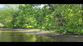POHICK BAY REGIONAL PARK IN VIRGINIA STATE(వర్జీనియా రాష్ట్రంలోని పోహిక్ బే ప్రాంతీయ పార్క్)