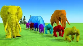 Long Slide Game With Elephant Gorilla Tiger 3d Animal Game Funny 3d Animals #3
