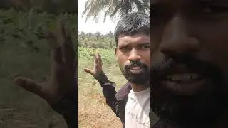 my first blog Mysore farmer ke sath
