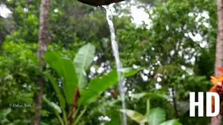 kerala monsoon 2019 #Monsoon #Kerala #India #Pathanamthitta #monsoonvibes #rain #rains #water
