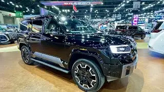 NEW 2025 DENZA B8 Review