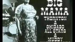 Big Mama Thornton With The Muddy Waters Blues Band - Since I Fell For You