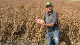 Broadcasting Cover Crops into Soybean