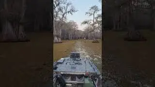 Caddo Lake, TX