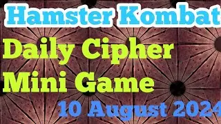 Hamater kombat daily cipher and mini game 10 august 2024