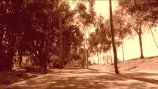 MusicalVideo LowReso