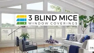 San Diego's Premiere Window Covering Company!  Elevate Your Home w/3 Blind Mice's Window Treatments!