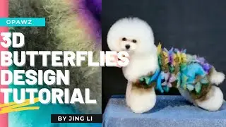 3D Butterflies Design Tutorial - OPAWZ Creative Grooming Tutorial