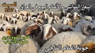 اسعار المواشي و الأغنام اليوم في العراق جوبة حلال التاجي في بغداد يوم السبت 9/27