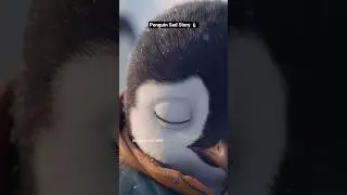 When a Penguin Feels Invisible 🐧|| Emotional Short Story || #shorts #penguin