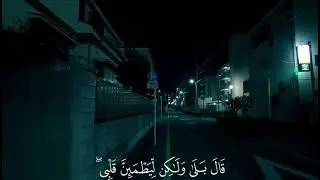 Heart Touching Quran Tilawat | Wa Iz Qala Ibrahimo | Surah Baqarah 260 | Real IslamTV9