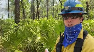 A Prescribed Fire