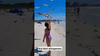 seagull hot chip challenge #lol #kids #takis