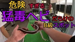 危険すぎる猛毒ヘビだらけのB級スポット『ジャパンスネークセンター』に行ってみた