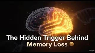 🧠 Can You Stop Memory Loss Before It Starts?
