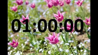 SPRING countdown TIMER. 1 HOUR.