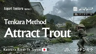 [Expert Tenkara] #1 Tenkara Method Attract Trout/「誘い」のテンカラ