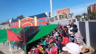 Tifo 3d Ultra shark 06