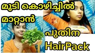 Mint Leaves Hair Pack for Stop Hairfall, Dandruff Remove,Splitends remedy, HairGrowth Pack