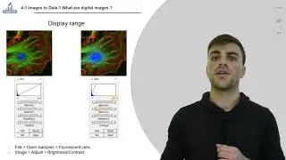 4.1 Digital images in microscopy