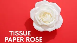 Beautiful Rose Flower from Tissue Paper | Easy Craft for Beginners |Easy DIY Paper Rose Tutorial #yt