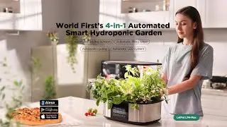 【LetPot LPH-Max】Измените представление об умном гидропонном саду