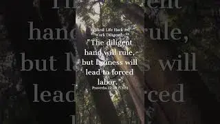 Biblical Life Hack #6 **Work Diligently:**