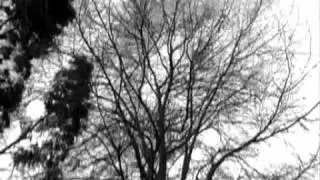 Mobile Screenfest Winner 2010 Best Horror/Thriller | Short Music about Killing |  Motoko Shimizu