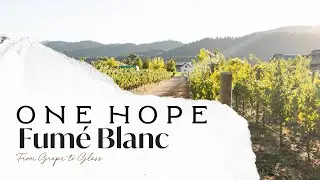 The Story Of ONEHOPE Fum&eacute; Blanc