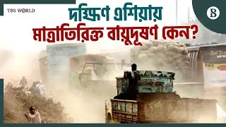 দক্ষিণ এশিয়ায় বায়ুদূষণ: বছরজুড়েই স্বাস্থ্যঝুঁকি | Air Pollution Facts | The Business Standard