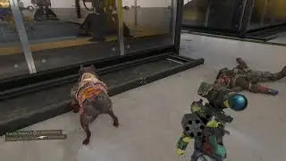 Countering Nomad's Dog [BO4]