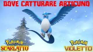 Tutorial dove catturare il leggendario ARTICUNO - Pokemon Scarlatto e Violetto DLC