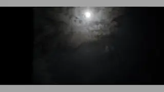 Moonlight
