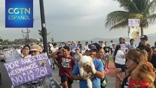Paname&ntilde;os marchan en contra de un proyecto de ley sobre perros peligrosos